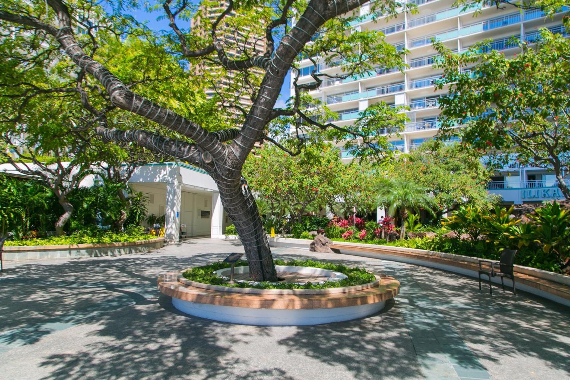 Апартаменти Ilikai Tower 1127 Yacht Harbor View 1Br Гонолулу Екстер'єр фото